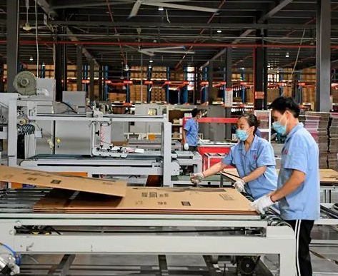 2021年终观察:纸业巨头扩建产能 一级厂数量又增加